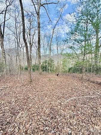1 Acre of Residential Land for Sale in Robbinsville, North Carolina