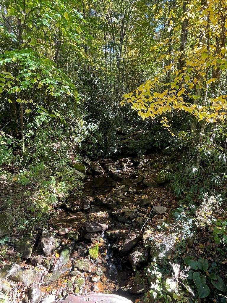 1.33 Acres of Residential Land for Sale in Robbinsville, North Carolina