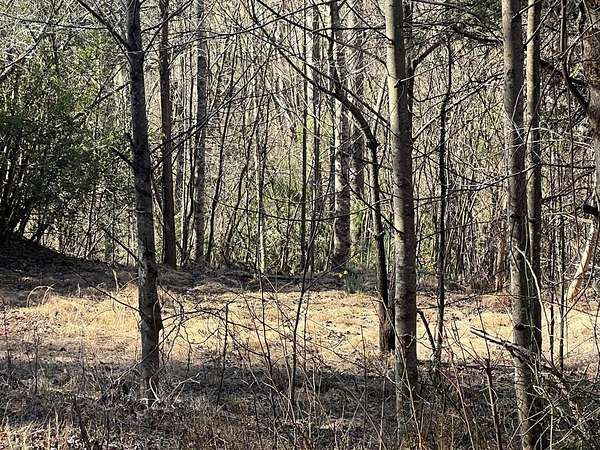 0.83 Acres of Residential Land for Sale in Hayesville, North Carolina