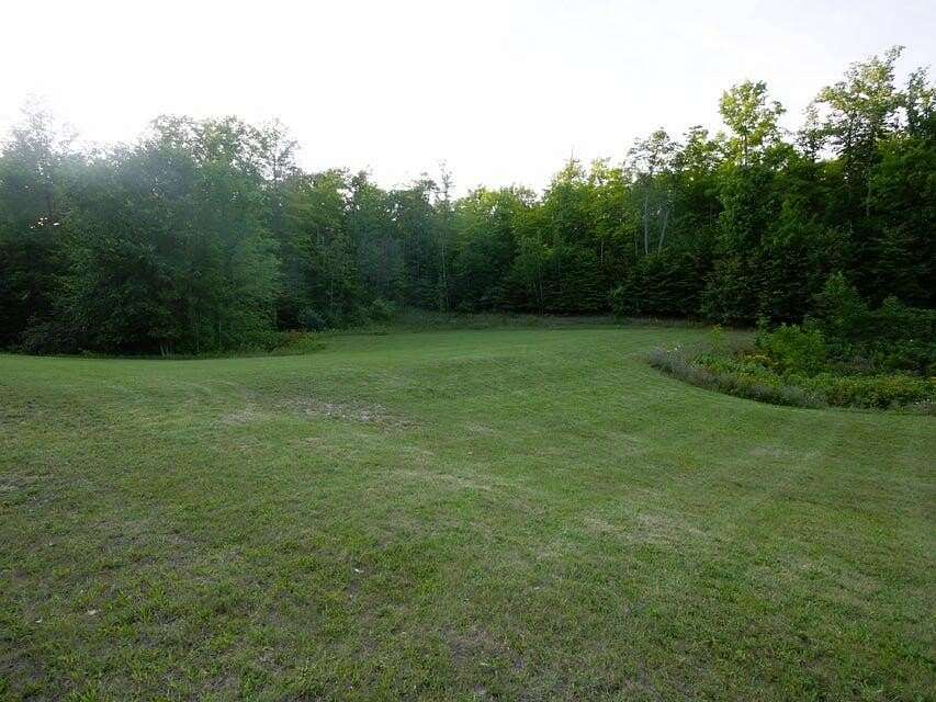 Land for Sale in Hillman, Michigan