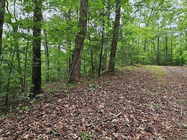 0.32 Acres of Residential Land for Sale in Murphy, North Carolina
