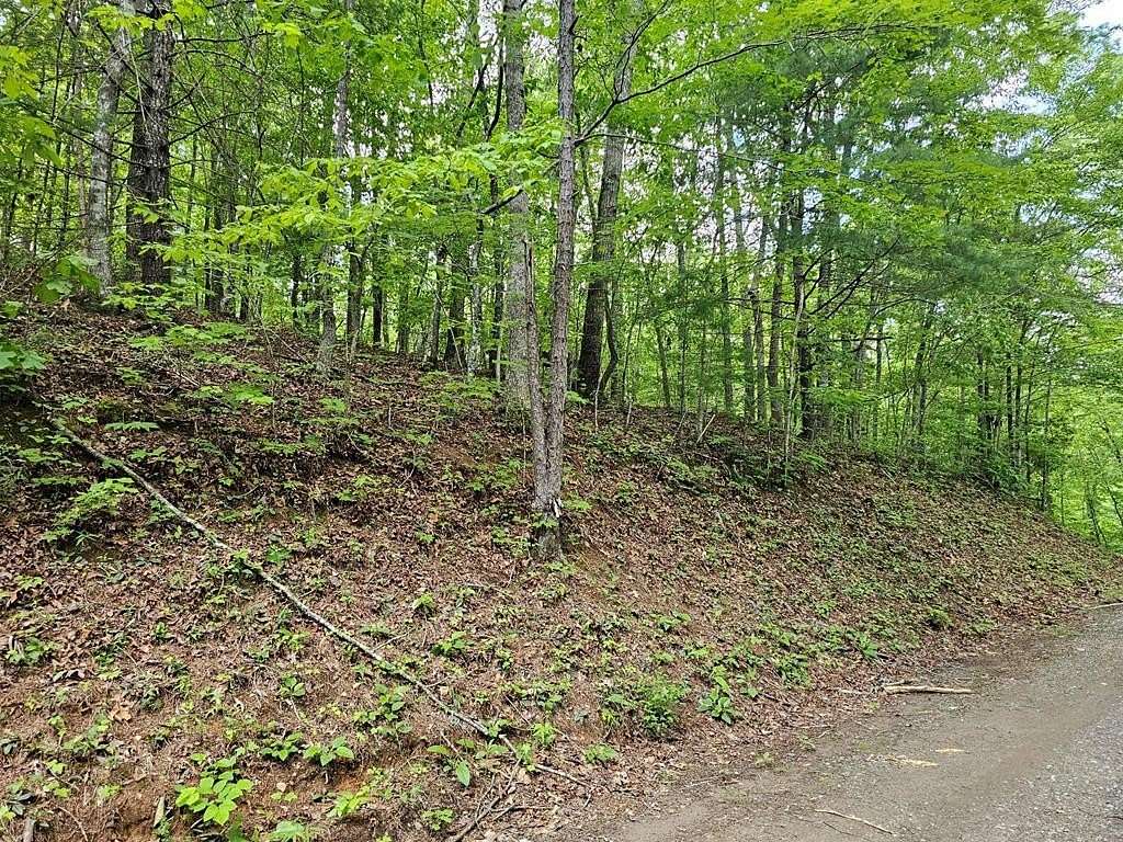 0.27 Acres of Residential Land for Sale in Murphy, North Carolina
