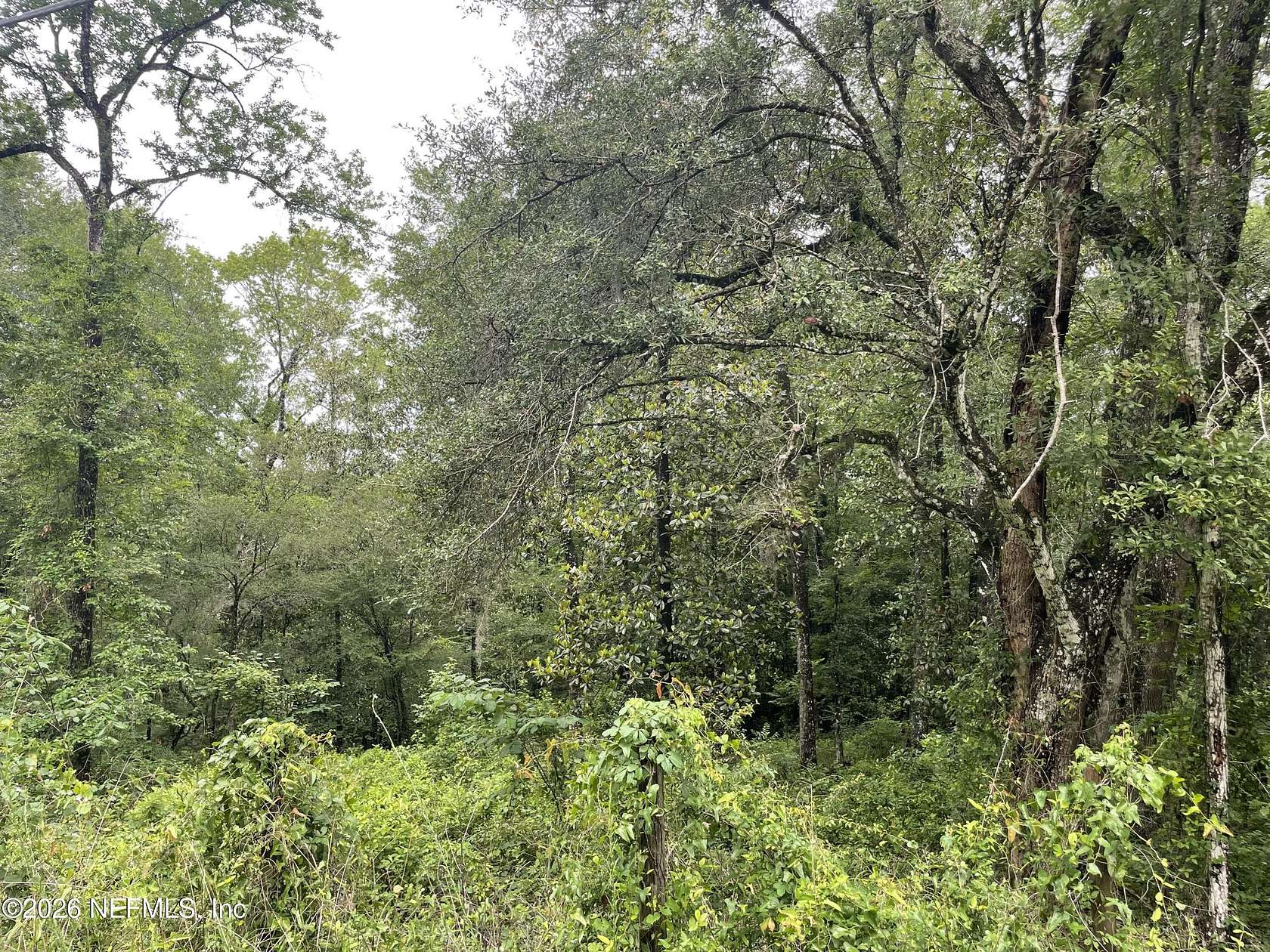 1.19 Acres of Residential Land for Sale in Middleburg, Florida