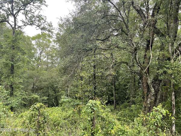 1.19 Acres of Residential Land for Sale in Middleburg, Florida