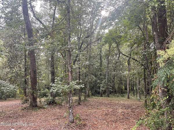 1.19 Acres of Residential Land for Sale in Middleburg, Florida