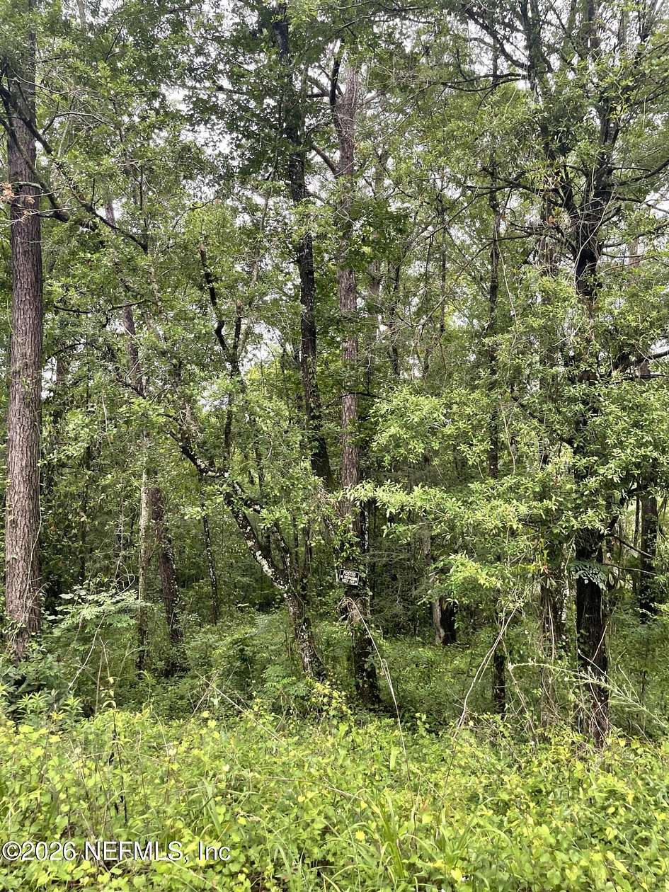 0.97 Acres of Residential Land for Sale in Middleburg, Florida