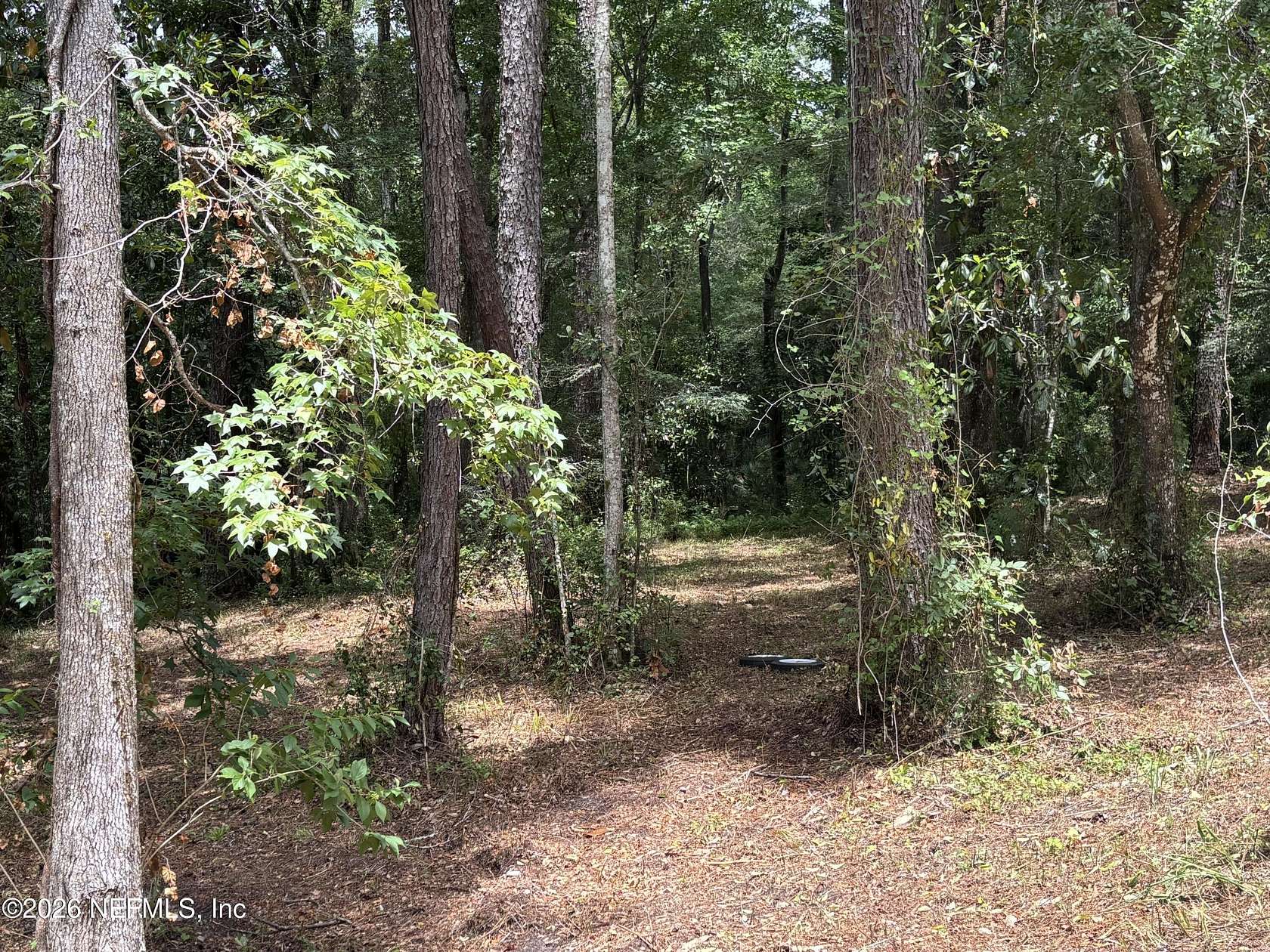 0.97 Acres of Residential Land for Sale in Middleburg, Florida