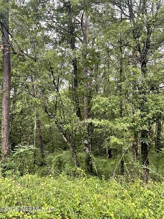 0.97 Acres of Residential Land for Sale in Middleburg, Florida