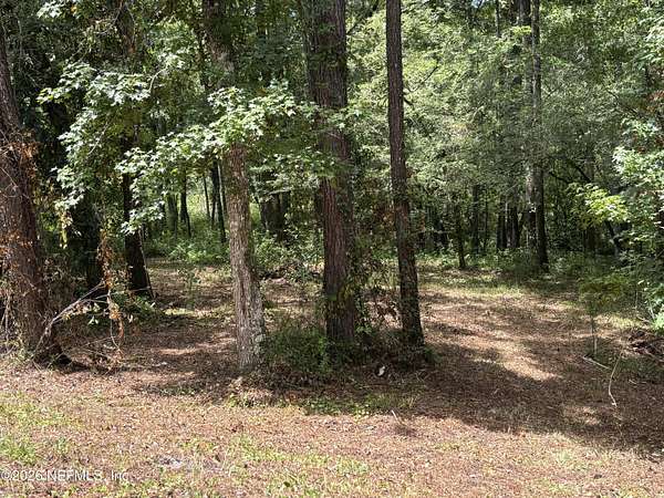 0.97 Acres of Residential Land for Sale in Middleburg, Florida