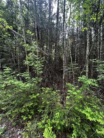 3.5 Acres of Land for Sale in Newport, Maine