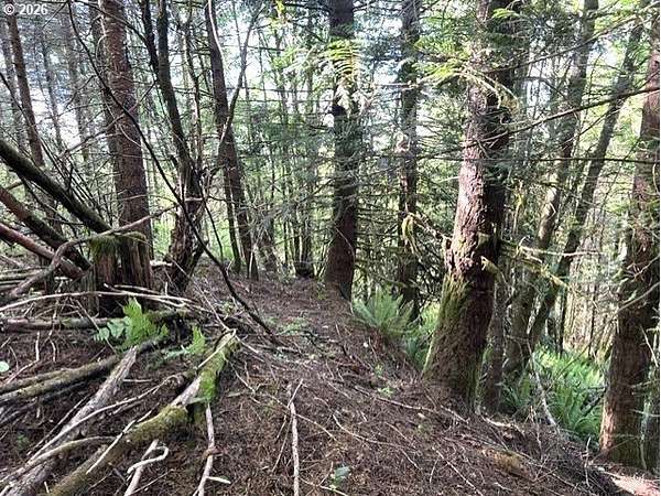 111 Acres of Land for Sale in Banks, Oregon
