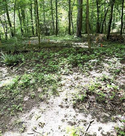 1.26 Acres of Residential Land for Sale in Franklin, North Carolina