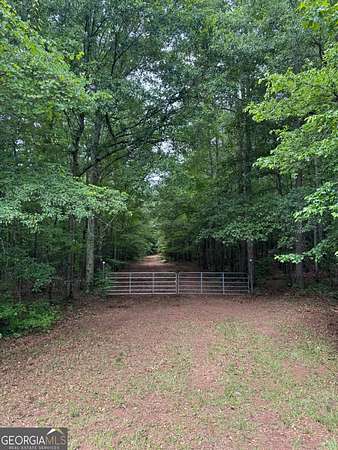 16.8 Acres of Recreational & Residential Land for Sale in Williamson, Georgia