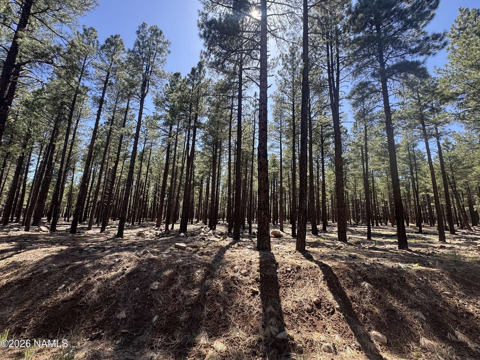 2 Acres of Residential Land for Sale in Flagstaff, Arizona