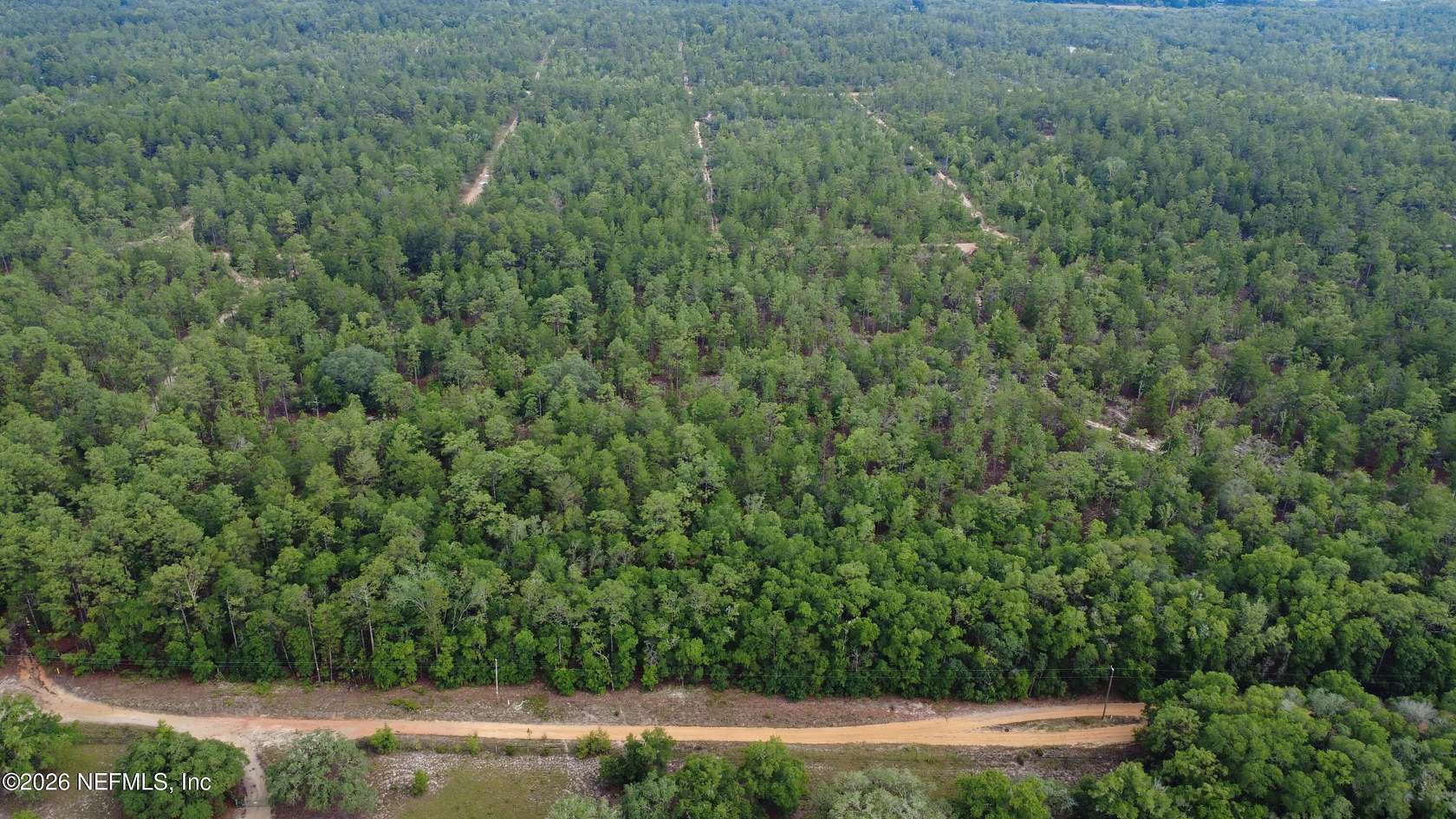 15 Acres of Land for Sale in Hawthorne, Florida