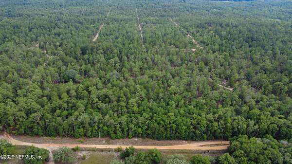 15 Acres of Land for Sale in Hawthorne, Florida