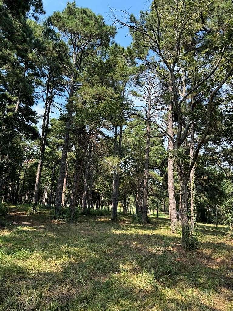 37.8 Acres of Recreational Land for Sale in Nacogdoches, Texas