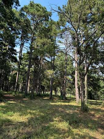 37.8 Acres of Recreational Land for Sale in Nacogdoches, Texas