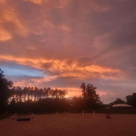 20 Acres of Land with Home for Sale in Williston, Florida