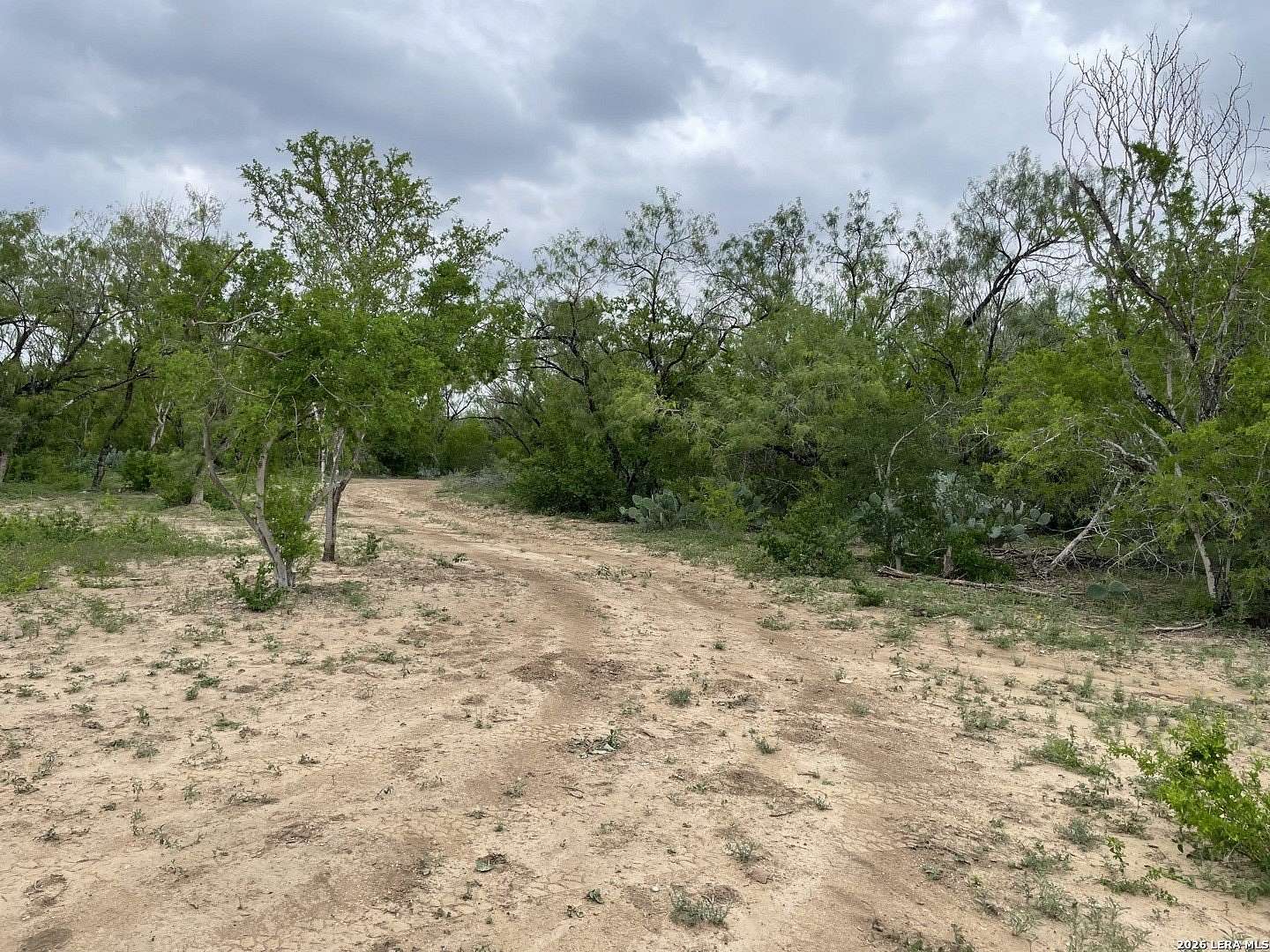 15 Acres of Recreational & Residential Land for Sale in San Antonio, Texas