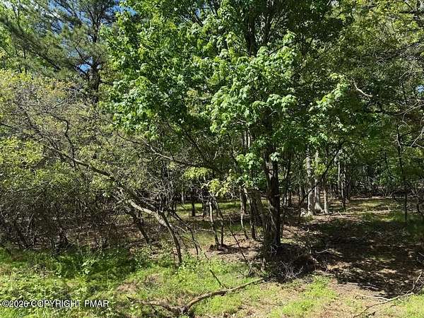 0.55 Acres of Residential Land for Sale in Albrightsville, Pennsylvania