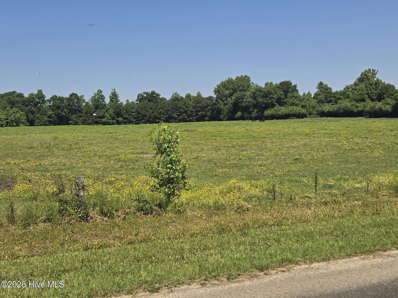 45.6 Acres of Land for Sale in Bolivia, North Carolina