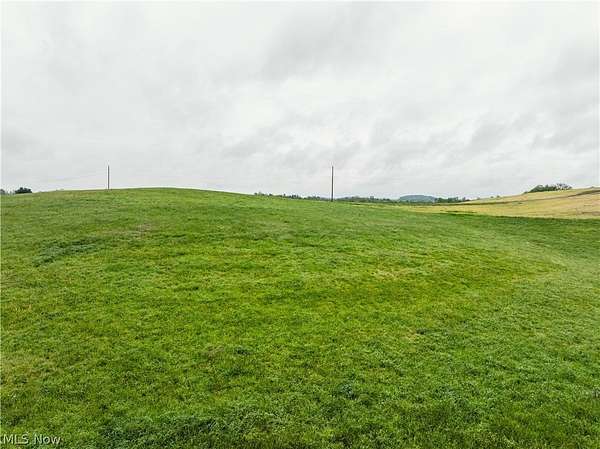 20 Acres of Agricultural Land for Auction in Fresno, Ohio