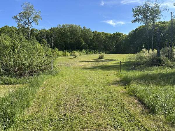 5 Acres of Land for Sale in Luther, Michigan