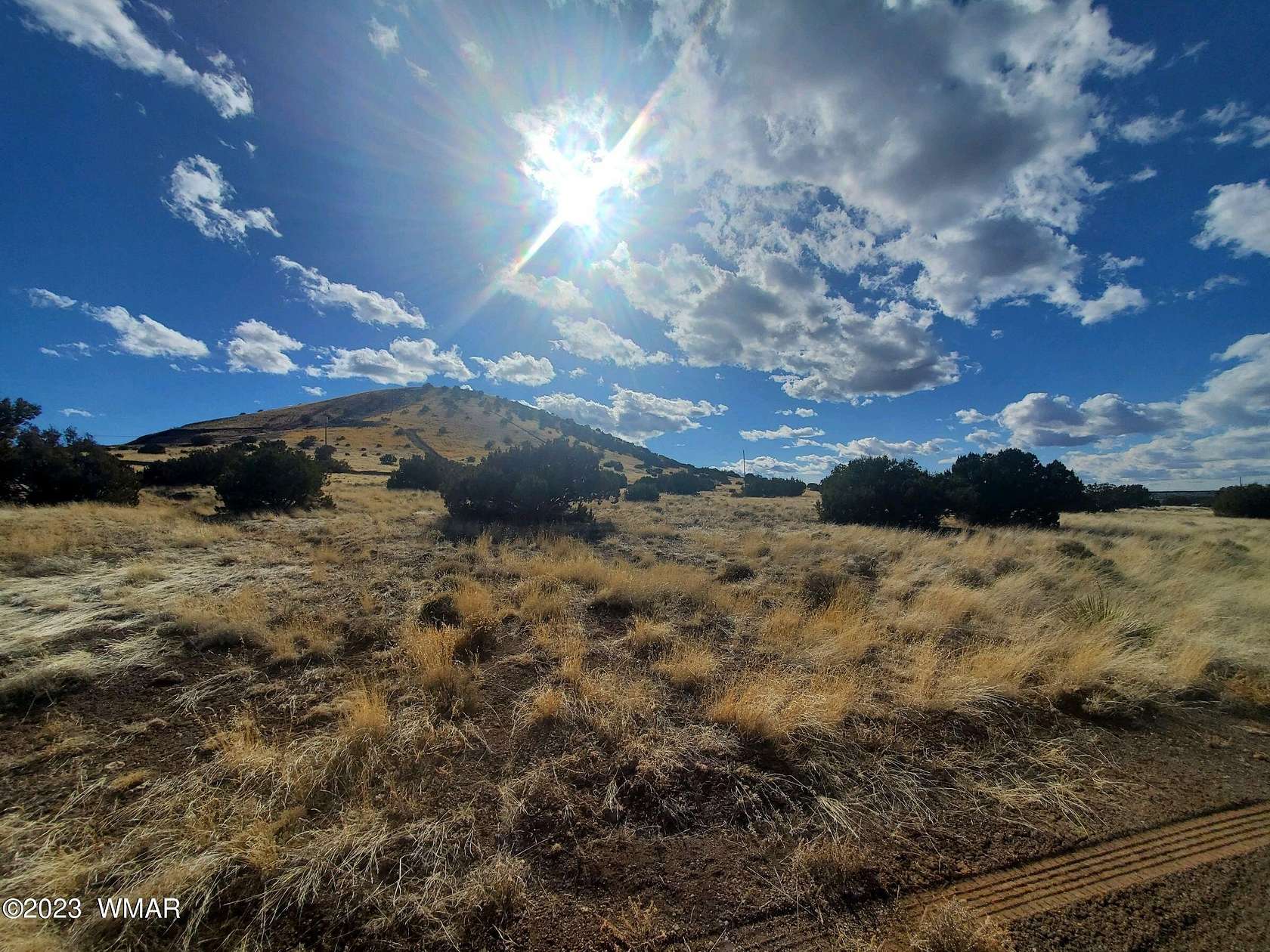 1 Acre of Residential Land for Sale in Concho, Arizona
