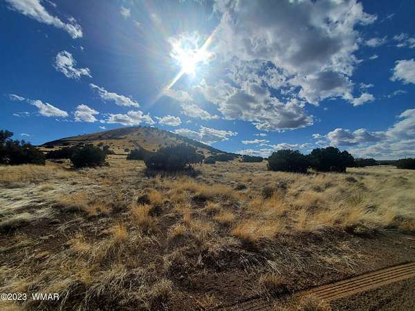 1 Acre of Residential Land for Sale in Concho, Arizona