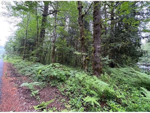 2.49 Acres of Land for Sale in Welches, Oregon