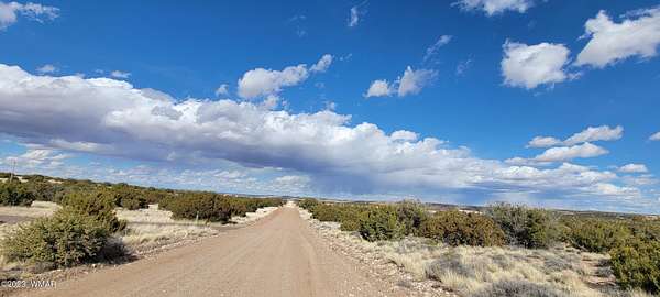 1 Acre of Residential Land for Sale in Concho, Arizona