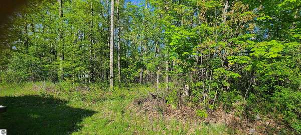 0.27 Acres of Land for Sale in Barton City, Michigan