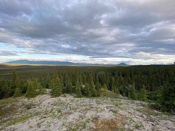 41.8 Acres of Recreational & Residential Land for Sale in Delta Junction, Alaska