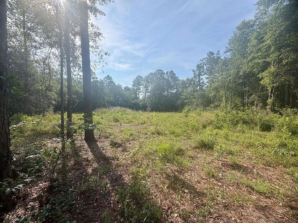 1.23 Acres of Residential Land for Sale in Picayune, Mississippi