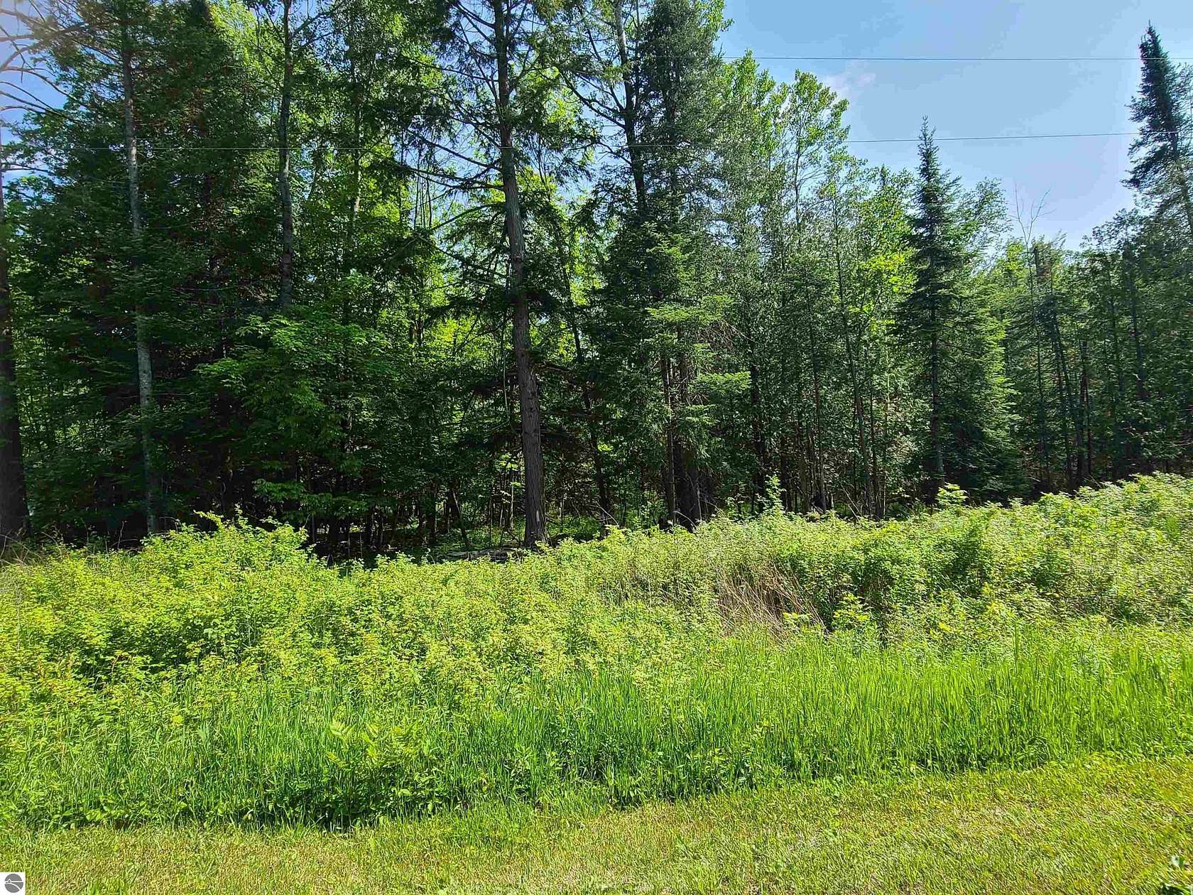 0.46 Acres of Land for Sale in Barton City, Michigan
