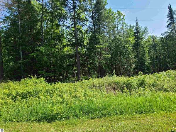 0.46 Acres of Land for Sale in Barton City, Michigan
