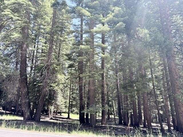 0.41 Acres of Residential Land for Sale in Lake Almanor Country Club, California