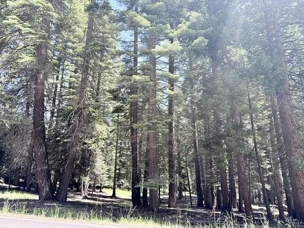 0.41 Acres of Residential Land for Sale in Lake Almanor Country Club, California