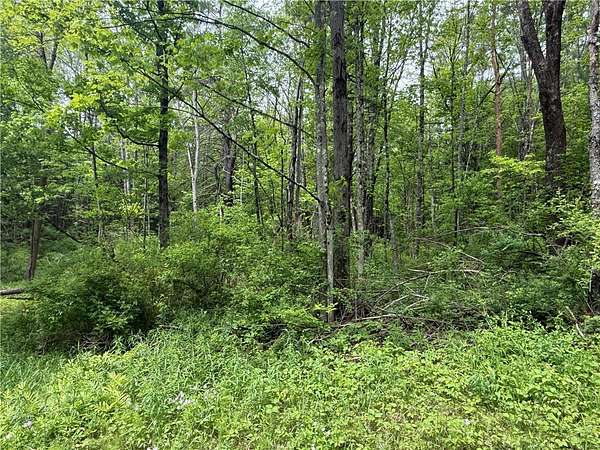36.9 Acres of Recreational & Residential Land for Sale in Barton, New York