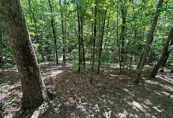 3 Acres of Residential Land for Sale in Douglasville, Georgia
