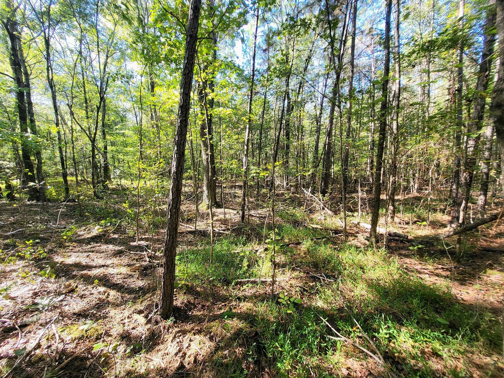 7 Acres of Residential Land for Sale in Sparta, Tennessee