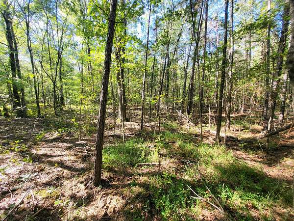 7 Acres of Residential Land for Sale in Sparta, Tennessee