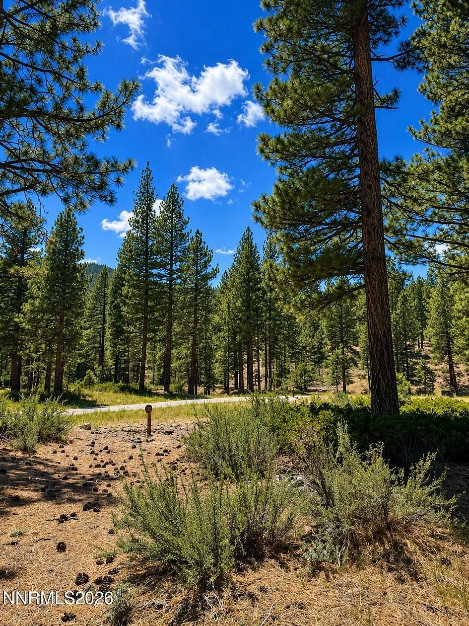 1 Acre of Residential Land for Sale in Carson City, Nevada