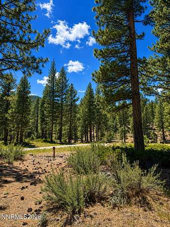 1 Acre of Residential Land for Sale in Carson City, Nevada