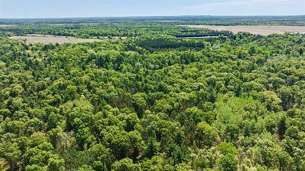 40 Acres of Recreational Land for Sale in Friendship, Wisconsin