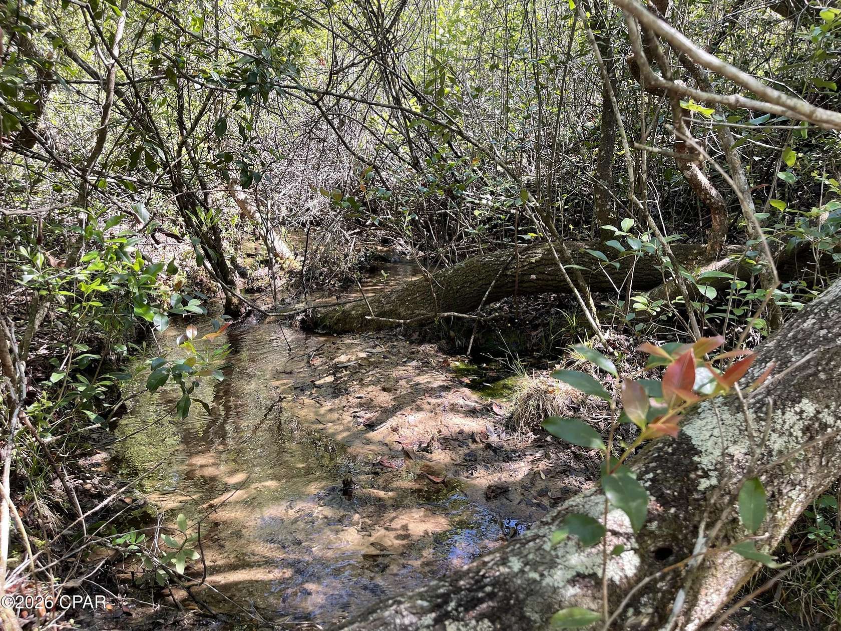 6.7 Acres of Land for Sale in Chipley, Florida