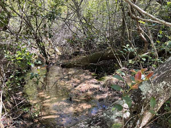6.7 Acres of Land for Sale in Chipley, Florida