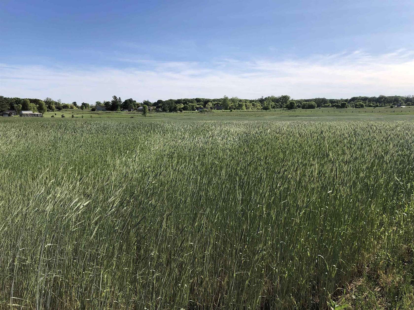 9.7 Acres of Residential Land for Sale in Clare, Michigan