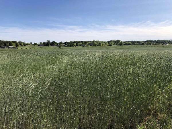 9.7 Acres of Residential Land for Sale in Clare, Michigan